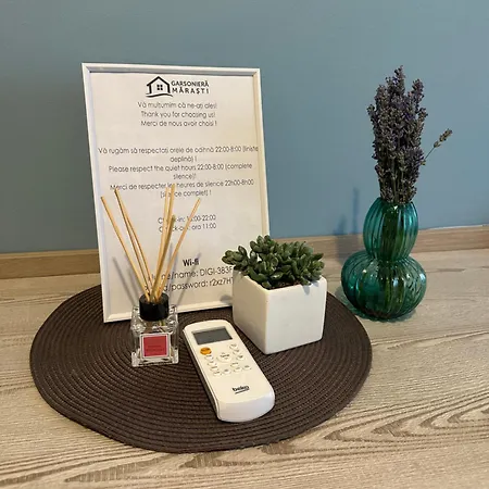 아파트 Garsoniera Cernei