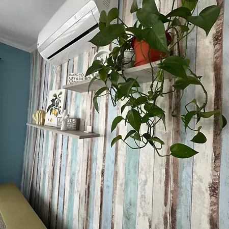 Garsoniera Cernei *