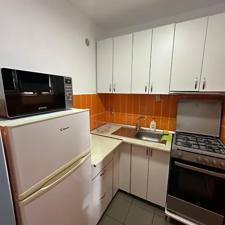 아파트 Garsoniera Cernei 클루지나포카