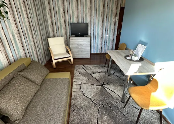 Garsoniera Cernei * Kluż-Napoka